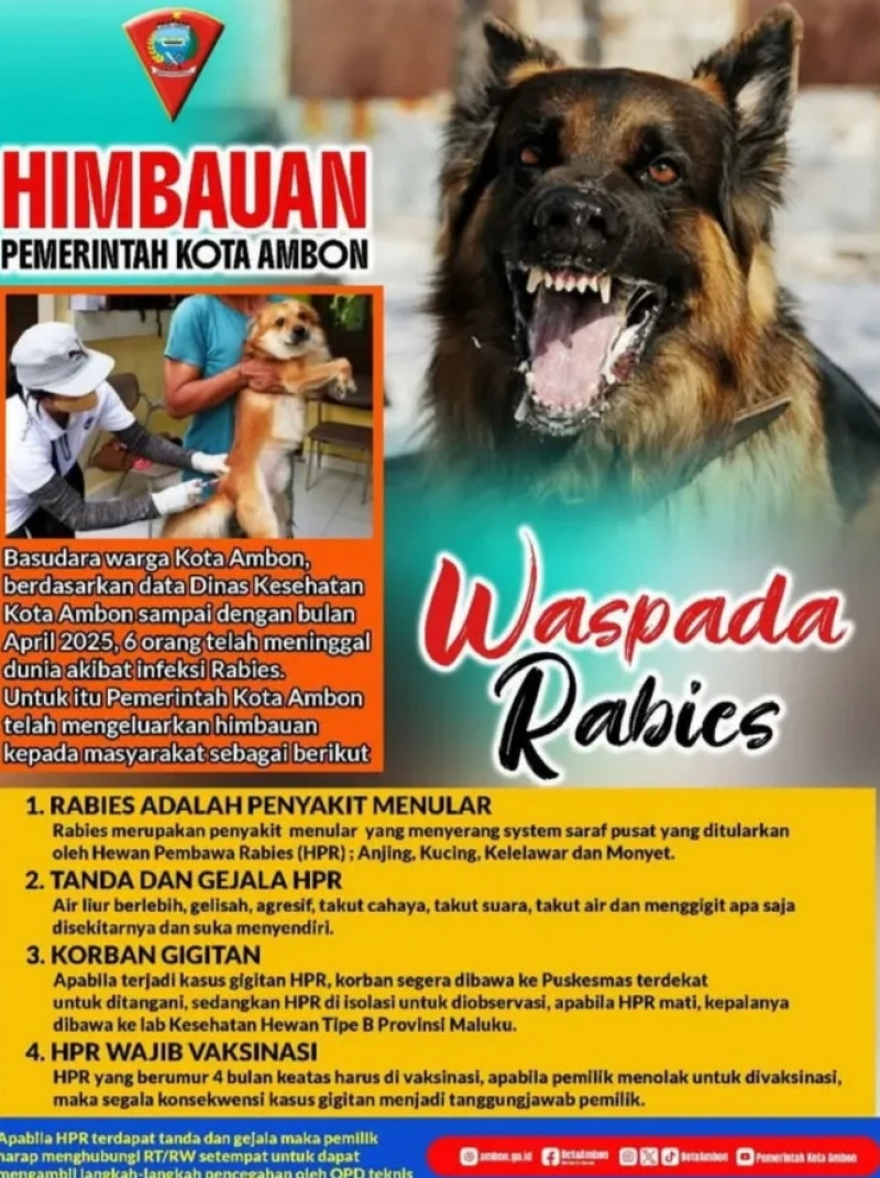 WASPADA RABIES