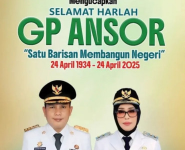 GP ANSOR
