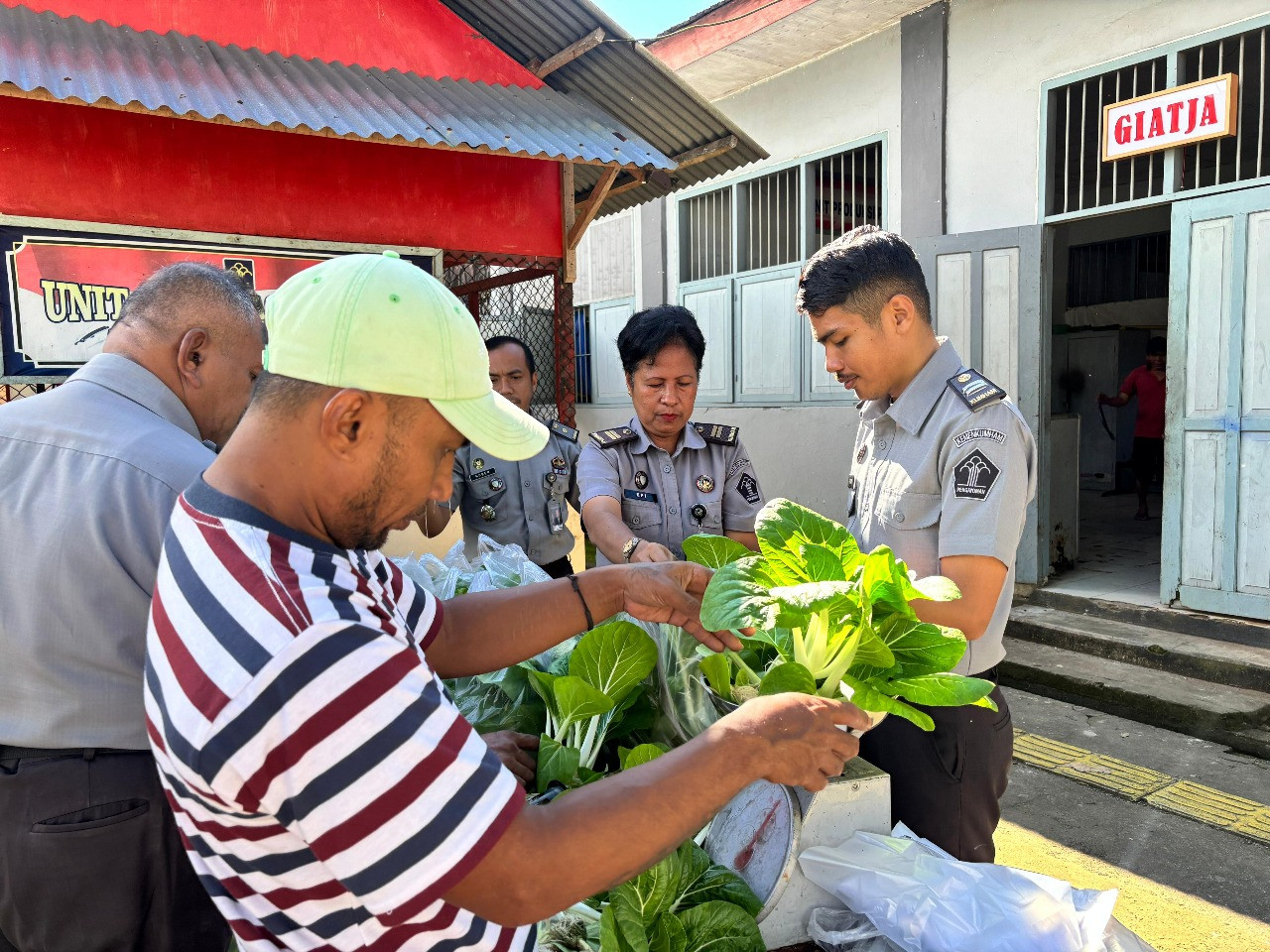 Panen Sawi Hidroponik, Lapas Ambon Libatkan Warga Binaan untuk Wujudkan Ketahanan Pangan