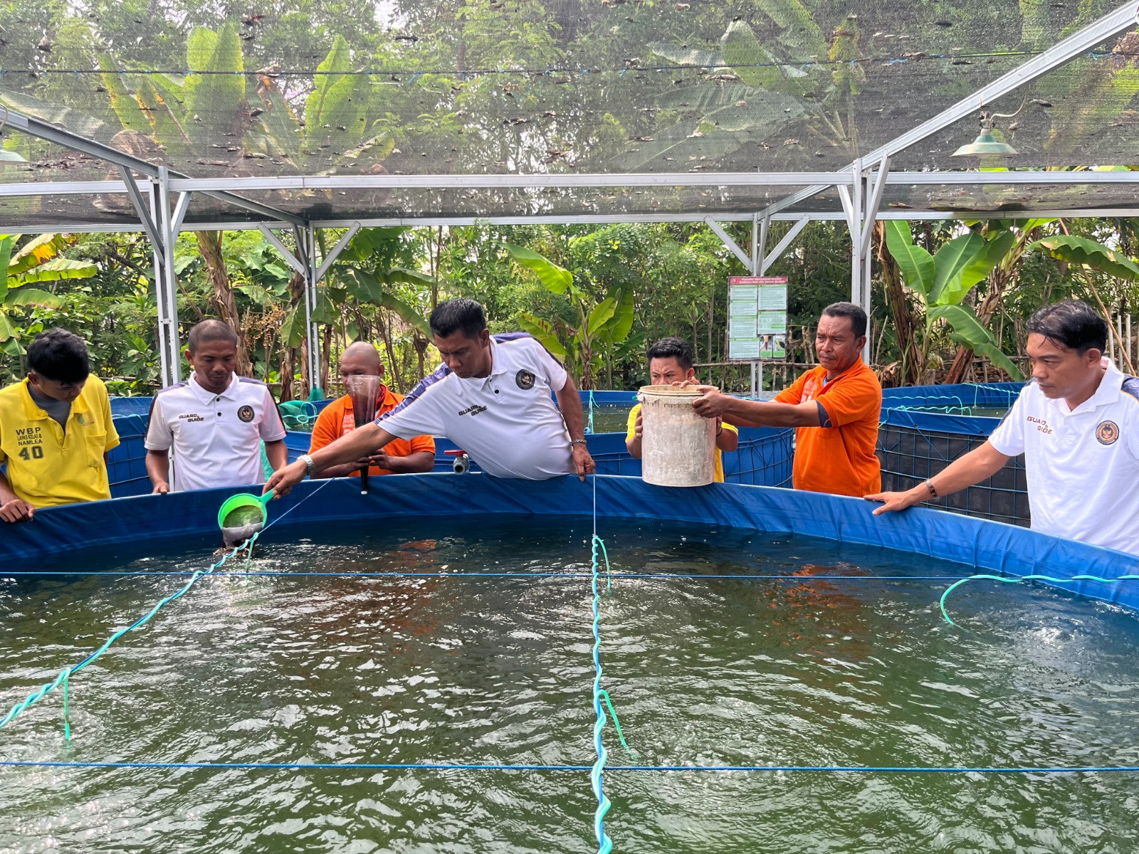 Lapas Namlea Budidayakan Ikan Nila,Dukung Program Pembinaan Kemandirian  Bagi Warga Binaan