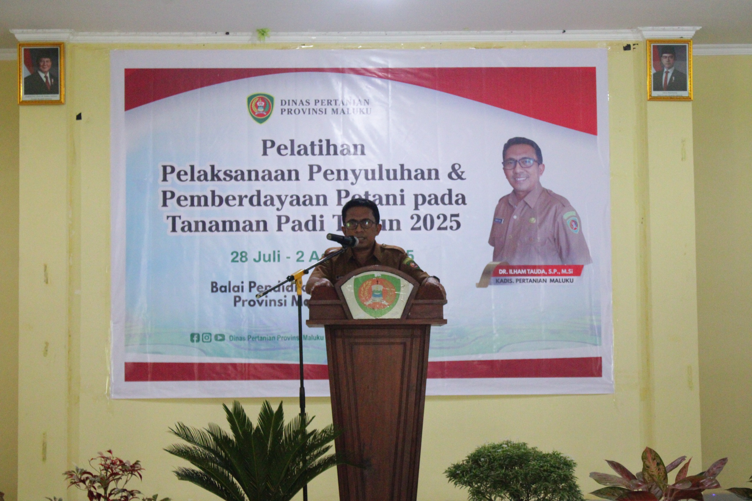 Tauda, Tanaman Padi Merupakan Salah Satu Komoditi Pangan Strategis Di Maluku